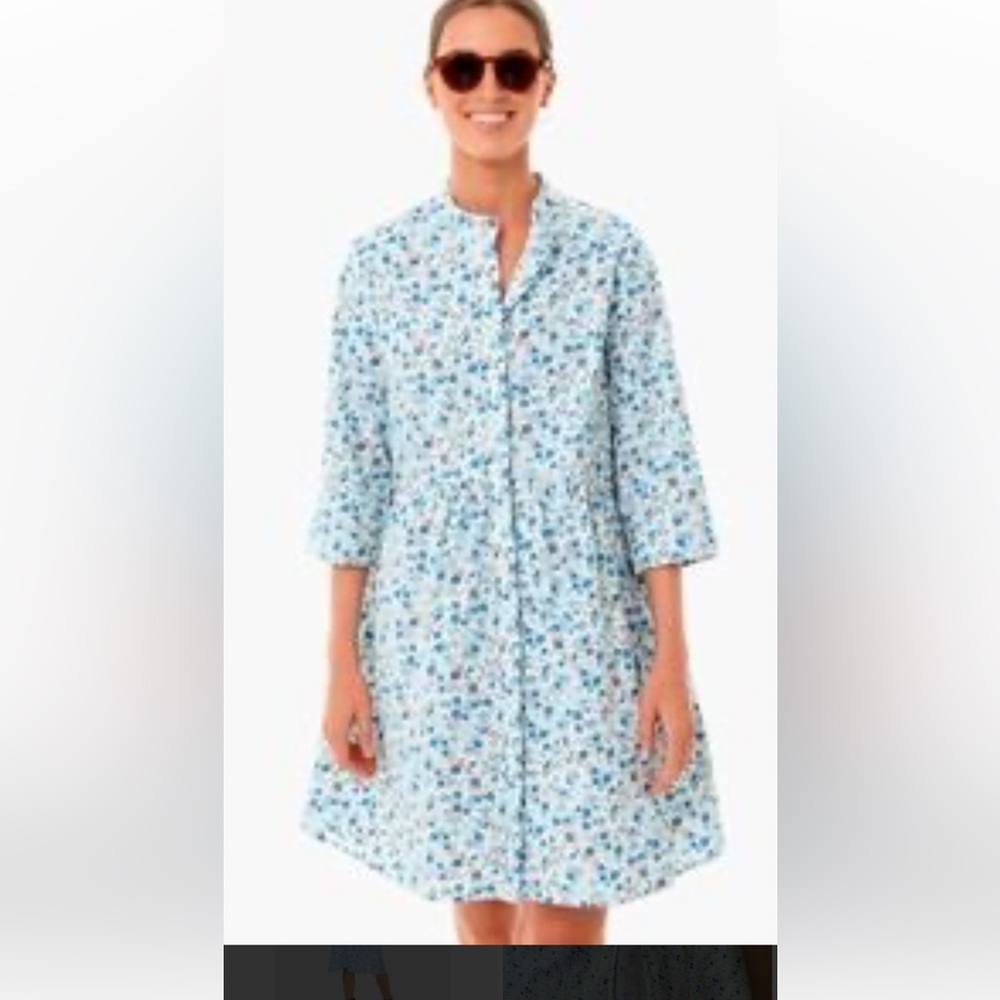 Tuckernuck Floral Blue Royal Shirt Dress and White Dress